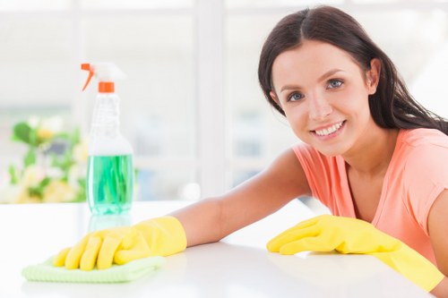Pimlico Cleaners team introducing their professional cleaning services