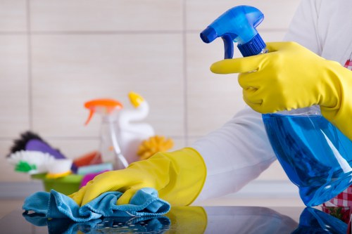 Domestic cleaning in Pimlico for a tidy living room