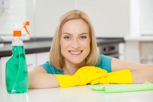 Regular home cleaning service in Pimlico bathroom hygiene