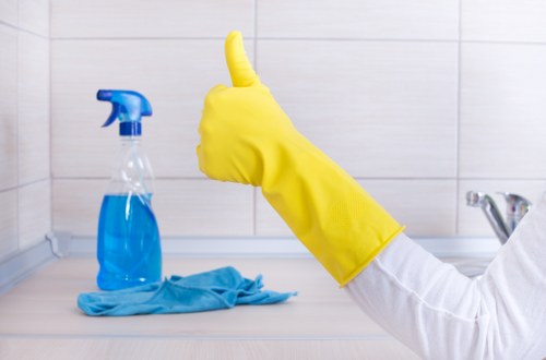 Bathroom end of tenancy cleaning in Pimlico property