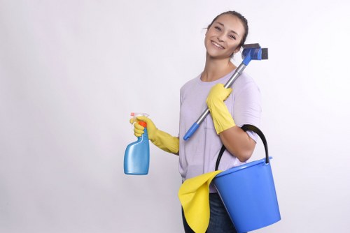 Inclusive web experience for Pimlico Cleaners in Pimlico