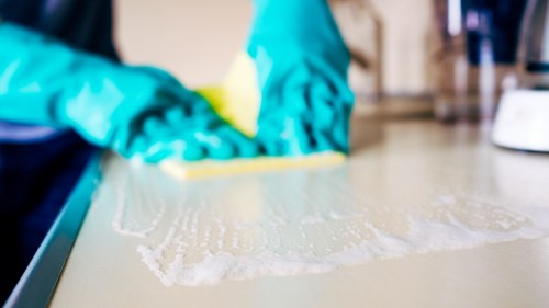 Professional domestic cleaning in Pimlico kitchen care