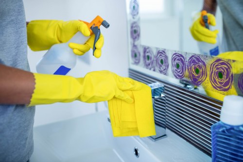 Domestic cleaning in Pimlico with kitchen surface care