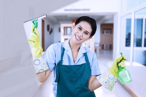 Domestic cleaning in Pimlico for period and modern homes