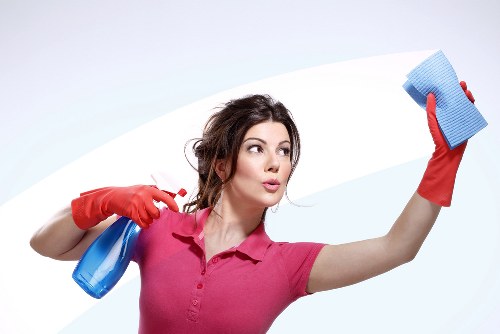 Professional cleaners carrying out a booked cleaning task