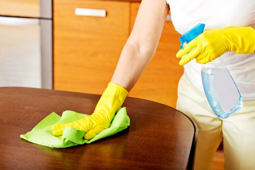 Stain removal and carpet care in a Pimlico property