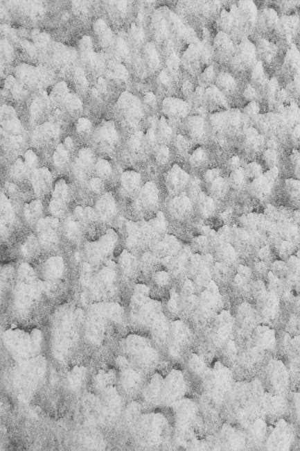 Close-up of a textured surface covered in white snow or frost, featuring uneven, granular clumps and small ice crystals. The surface appears rough and powdery, with diffuse lighting creating soft shad